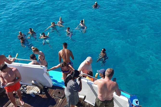 2.5 hour Glass Bottom Boat Trip, Snorkeling, Sliding and Fun - Stop 2, Sea Sponges, Reefs, And Turtle-Season Odds