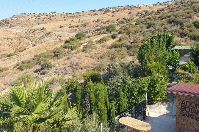2-Hour Botanic Garden Tour in Akoursos - Meeting at VC68+R9 and what to expect from the pace