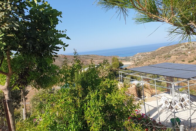 2-Hour Botanic Garden Tour in Akoursos - The first 15 minutes: workshop, cold Adonis water, and valley photos