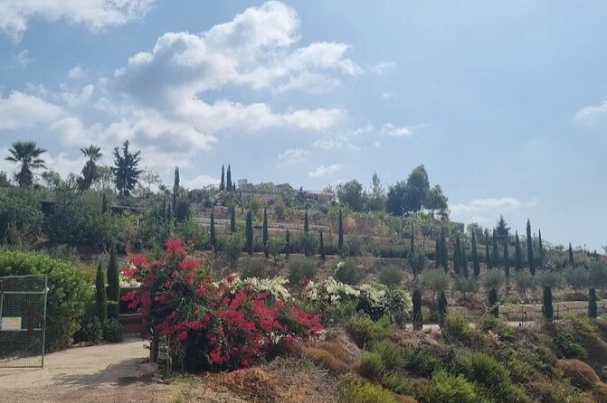 2-Hour Botanic Garden Tour in Akoursos - Arch. Michael Chapel and the roof garden calm-down