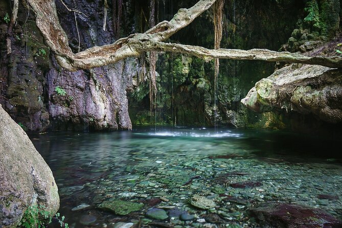Akamas, Baths of Aphrodite and Blue Lagoon Day Tour from Paphos - Included value: why this price can make sense for a day like this
