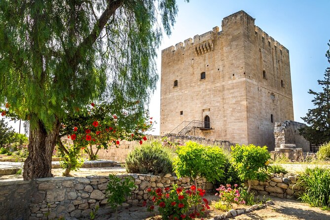 Ancient Kourion, Kolossi Castle, Omodos & Winery Tour from Paphos - The wine tasting and what to pay attention to