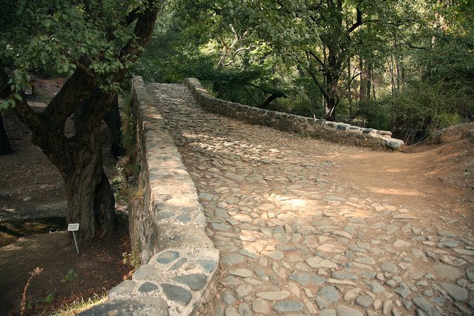Beauty, Nature and Charm of Troodos Mountains from Paphos - Stop 1: Tzelefos Bridge and the Diarizos River Moment