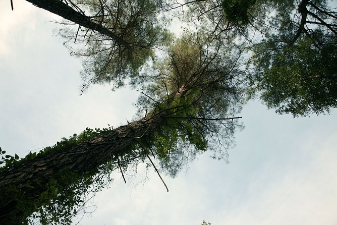 Beauty, Nature and Charm of Troodos Mountains from Paphos - Stop 6: Omodos Village, Lace Shops, and the Monastery of the Holy Cross