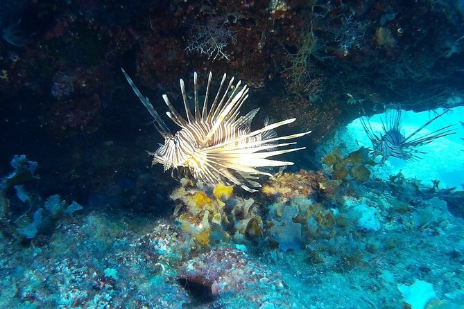 Beginners Discover Scuba Diving By Boat, Best Spot In Cyprus - Your Instructor, Your Equipment, and the Team Dynamic