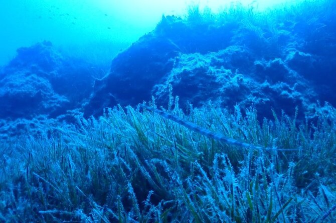 Beginners Discover Scuba Diving By Boat, Best Spot In Cyprus - The Briefing That Makes Your First Underwater Breaths Feel Normal