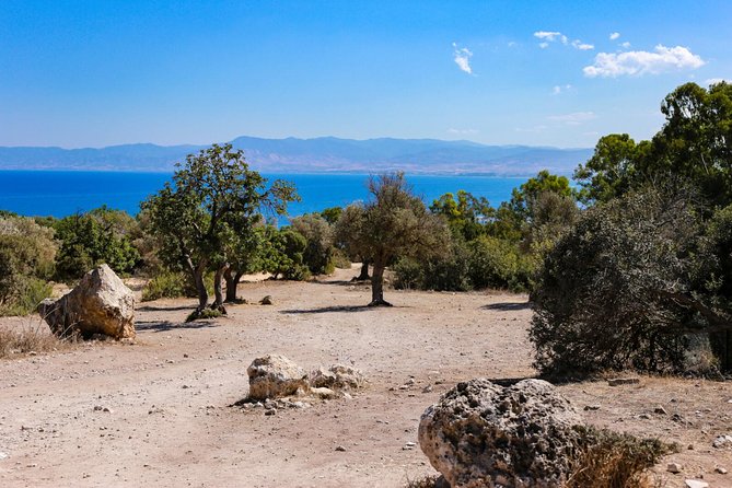 Blue Lagoon and Aphrodite’s Birthplace Day Tour from Limassol - Snorkeling and Water Time: How to Make It Enjoyable