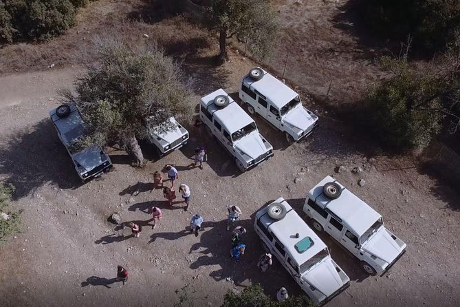 Cruise and 4X4 Safari Tour at Akamas Peninsula from Limassol - Lara Bay Turtle Conservation Station: Where Protection Is Visible