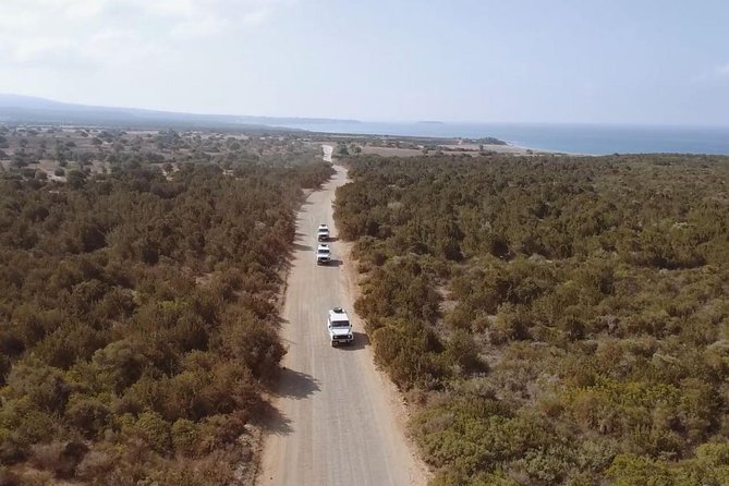 Cruise and 4X4 Safari Tour at Akamas Peninsula from Limassol - Lunch with Cyprus Meze Plus One Drink: Real Fuel for the Day