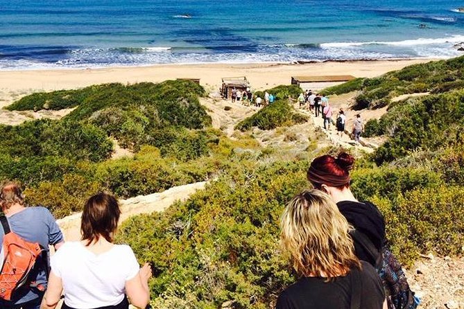 Cruise and 4X4 Safari Tour at Akamas Peninsula from Paphos - Lara Bay turtle conservation: conservation you can actually see