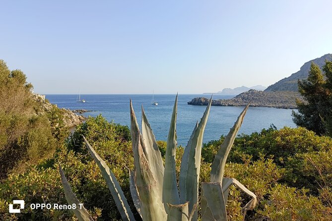 Day Trip to the Paphos amazing sides from Limassol. - Who this Paphos-from-Limassol trip suits best