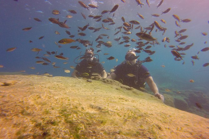 Discover Scuba diving - Key takeaways before you choose Ayia Napa’s beginner scuba session