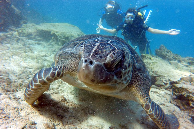 Discover Scuba diving - Meet up near Ayia Napa, then go straight to Green Bay Beach