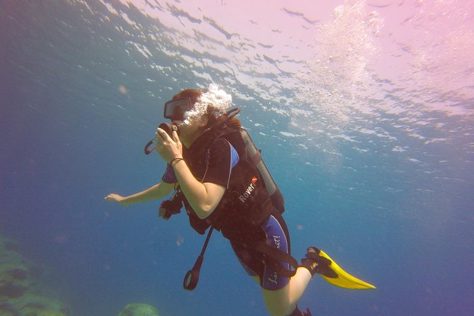 Discover Scuba diving - Green Bay Beach, shore entry, turtles, and a statue garden