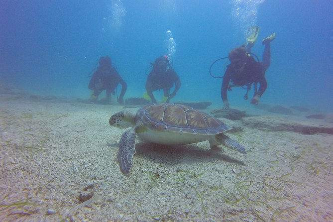 Discover Scuba diving - Equipment, photos, and the convenience factor