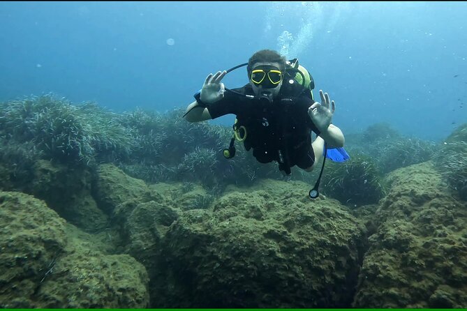 Discover SCUBA Diving with Pissouri Bay Divers - Key Highlights You’ll Actually Notice