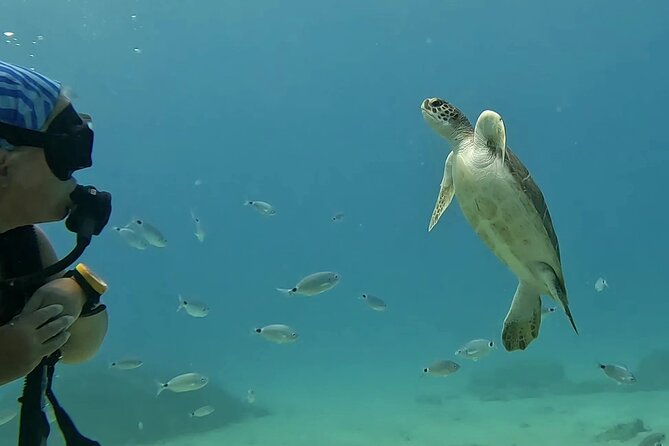 Discover SCUBA Diving with Pissouri Bay Divers - Boat time and sea conditions around Limassol