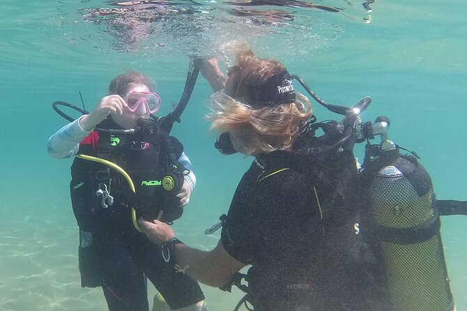Discover SCUBA Diving with Pissouri Bay Divers - What the up-to-1-hour underwater experience feels like