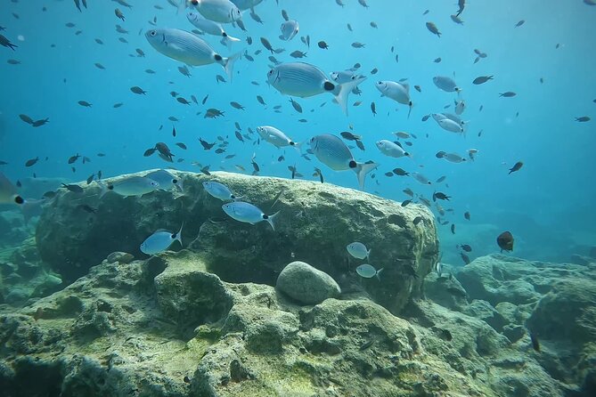 Discover SCUBA Diving with Pissouri Bay Divers - Pricing and value: what you’re really paying for