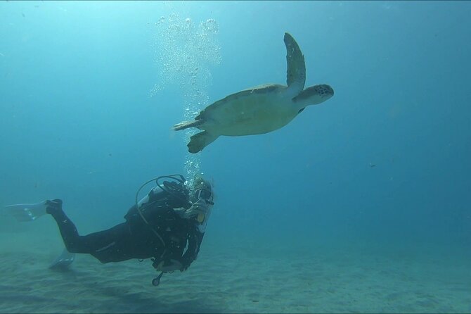 Discover SCUBA Diving with Pissouri Bay Divers - Who should book this (and who might not)