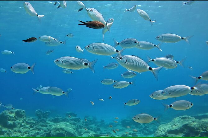 Discover SCUBA Diving with Pissouri Bay Divers - The 4-Hour Flow: From paperwork to weightlessness
