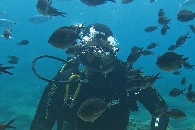 Dive The Rock (Scuba Diving Experience in Protaras) - Key things to know before you go