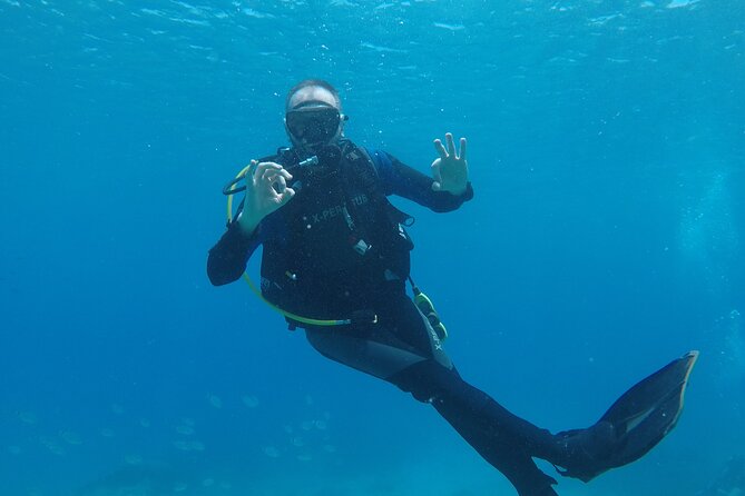 Dive The Rock (Scuba Diving Experience in Protaras) - Price and value: what $102.12 buys you in Protaras
