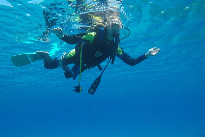 Dive The Rock (Scuba Diving Experience in Protaras) - Who should book this, and who might skip it