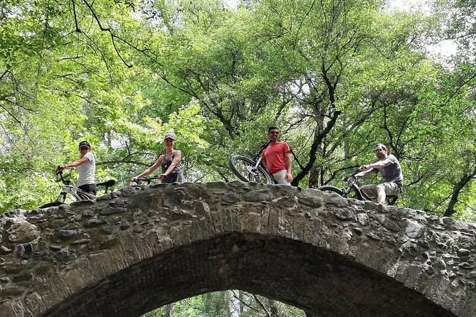 Explore Paphos forest with e-mountain bikes - Key highlights you should care about