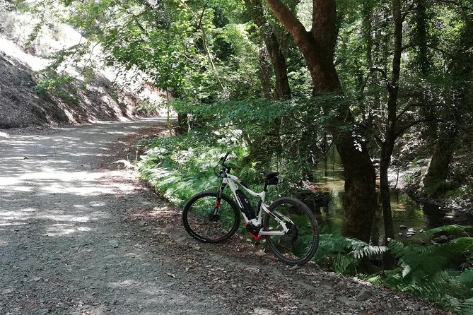 Explore Paphos forest with e-mountain bikes - Your guide and the private-tour advantage