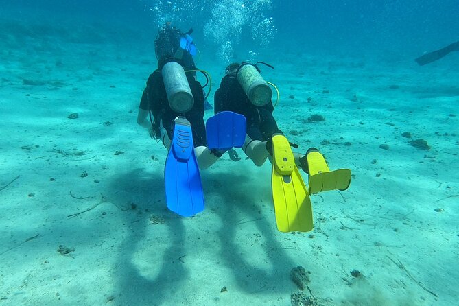 First Time Scuba Dive Adventure, Makronissos, Ayia Napa - Price and value: is $72.18 per person a fair deal?