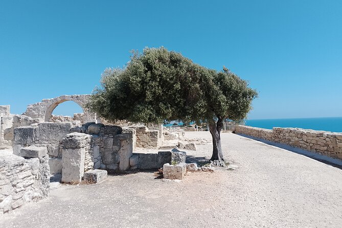 From Limassol, Aphrodite Rocks and Kourion Archeological Side - Stop 3: Kourion Museum and the Greco-Roman Thread