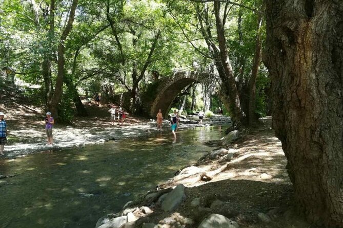 Full Day Troodos Guided Safari Tour with Pick Up - Troodos Mountains Dam Photo Stop and the Forest Drive