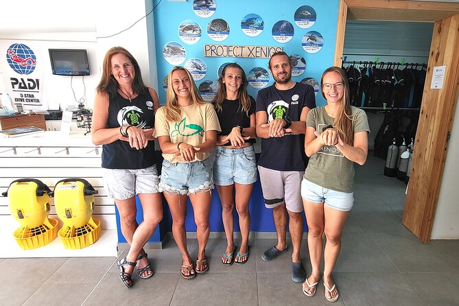 Guided snorkeling trip to the turtles in Protaras - Green Bay Beach meeting at 3:00 pm, pickup from Protaras, Pernera, Agia Napa