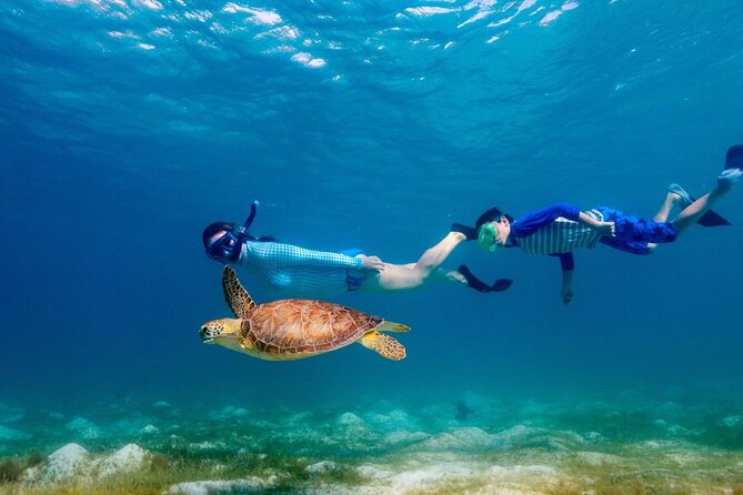 Guided snorkeling trip to the turtles in Protaras - Small group energy for families and less-confident swimmers