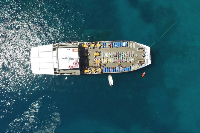 Half Day BBQ Lunch Cruise from Paphos - The on-deck Greek barbecue lunch: what you should expect