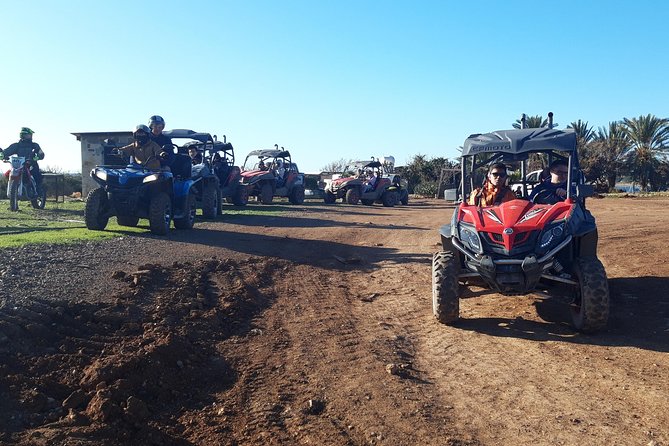 Half-Day Buggy Safari to Akamas Peninsula with Lunch - Group size, convoy driving, and what Costas-style guiding feels like