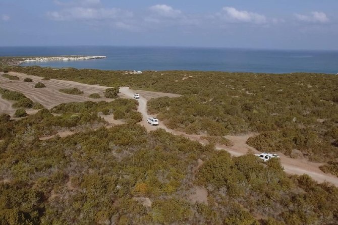 Half day Safari Tour to Akamas Peninsula from Paphos - The Paphos Pickup Rhythm and How the 4 Hours Actually Feel