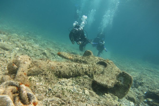 Half-Day Scuba Diving Tour - Discover Scuba Diving! - The Roman Wall shore stop: shallow water, ancient artifacts, and marine life
