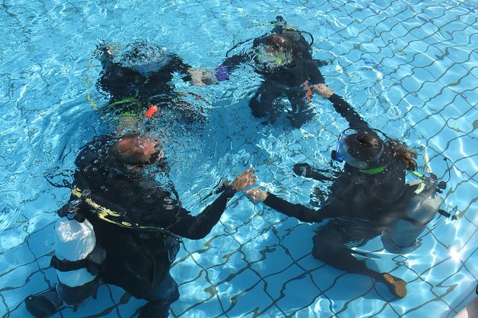 Half-Day Scuba Diving Tour - Discover Scuba Diving! - Sea turtles: possible in season, not something to bet your evening on