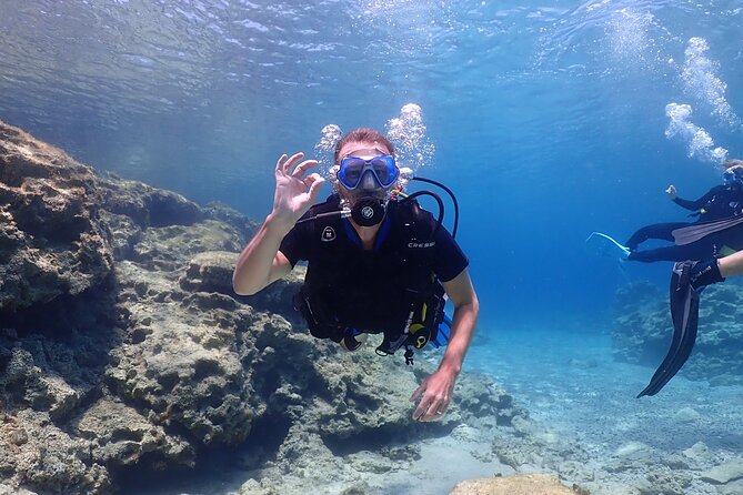 Introductory diving in small groups - Key highlights you should know before you go