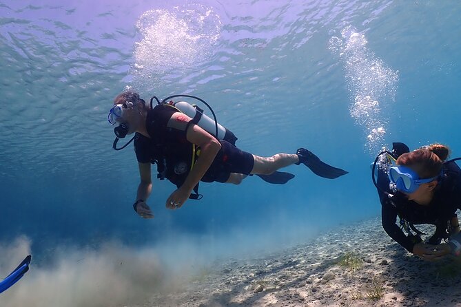 Introductory diving in small groups - How the 3-hour intro scuba session flows from theory to sea