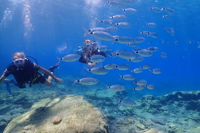 Introductory diving in small groups - Weather, sea conditions, and what happens if plans change