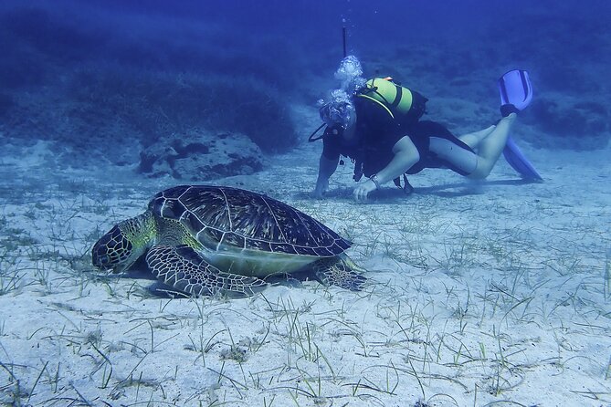 Introductory diving in small groups - Is Cyprus scuba worth it if you’ve been before?