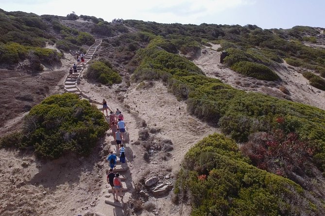 Jeep Safari Akamas from Paphos - Price and Value, Is $81.48 a Good Deal?