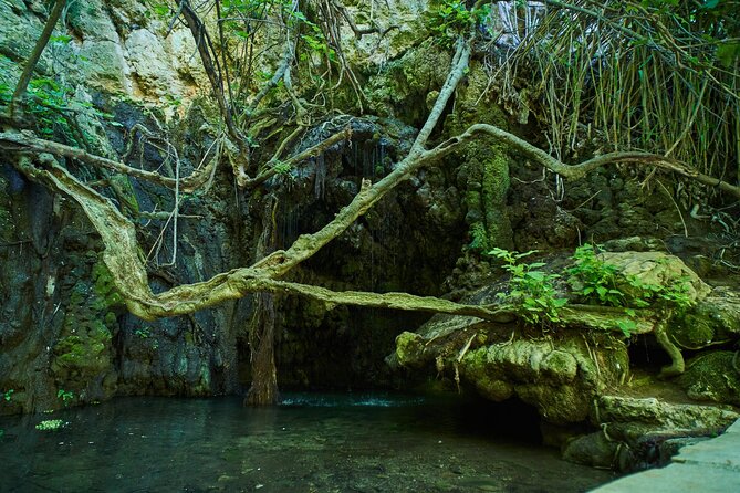 Jeep Safari Akamas from Paphos - Guides Make the Day, and Here’s What You Can Hope For