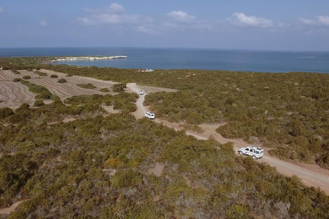 Jeep Safari to Akamas from Limassol - Getting to Akamas from Limassol (Without Wasting Your Day)
