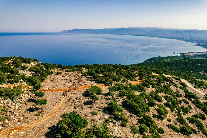 Jeep Safari to Akamas from Limassol - Latchi: The Lunch and Drinks Window You Should Use Well