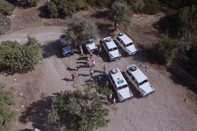 Jeep Safari to Akamas from Limassol - Who Should Book This Akamas Jeep Safari