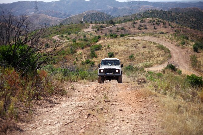 Jeep Safari to Akamas National Park: Avakas Gorge Tour from Paphos - Akamas Peninsula swim stop and the Latchi lunch window